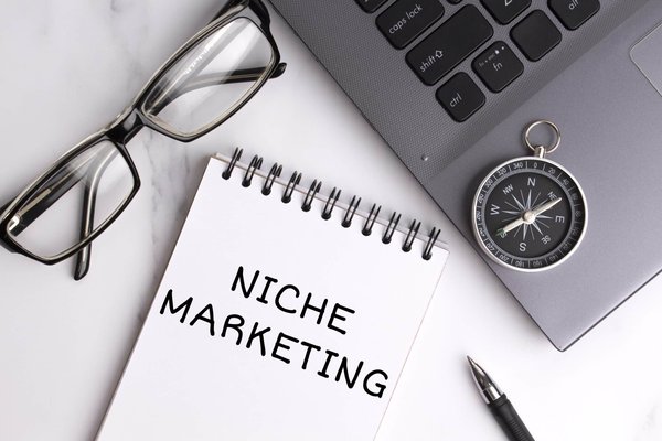 How to Develop a Niche Marketing Strategy for UK Renewable Energy Consultants?