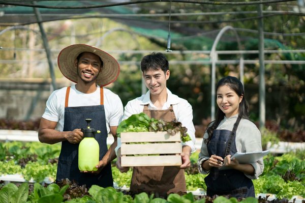 How Can Hydroponic Gardening in Urban Schools Enhance Nutrition Education?